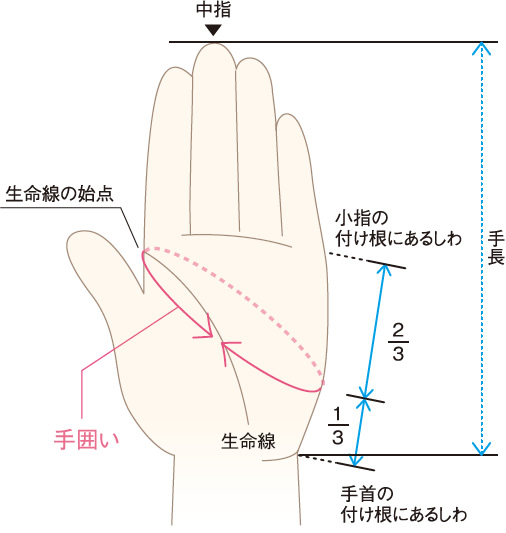 サイズの測り方